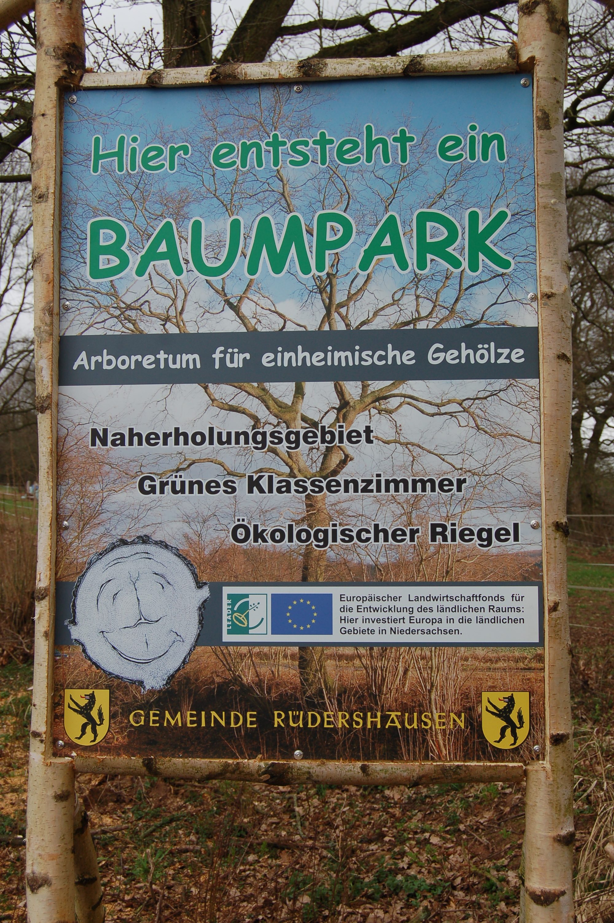 Rhumeaue // Baumpark